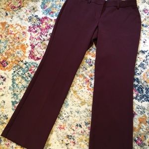 Express Editor Low Rise Barely Boot Pant